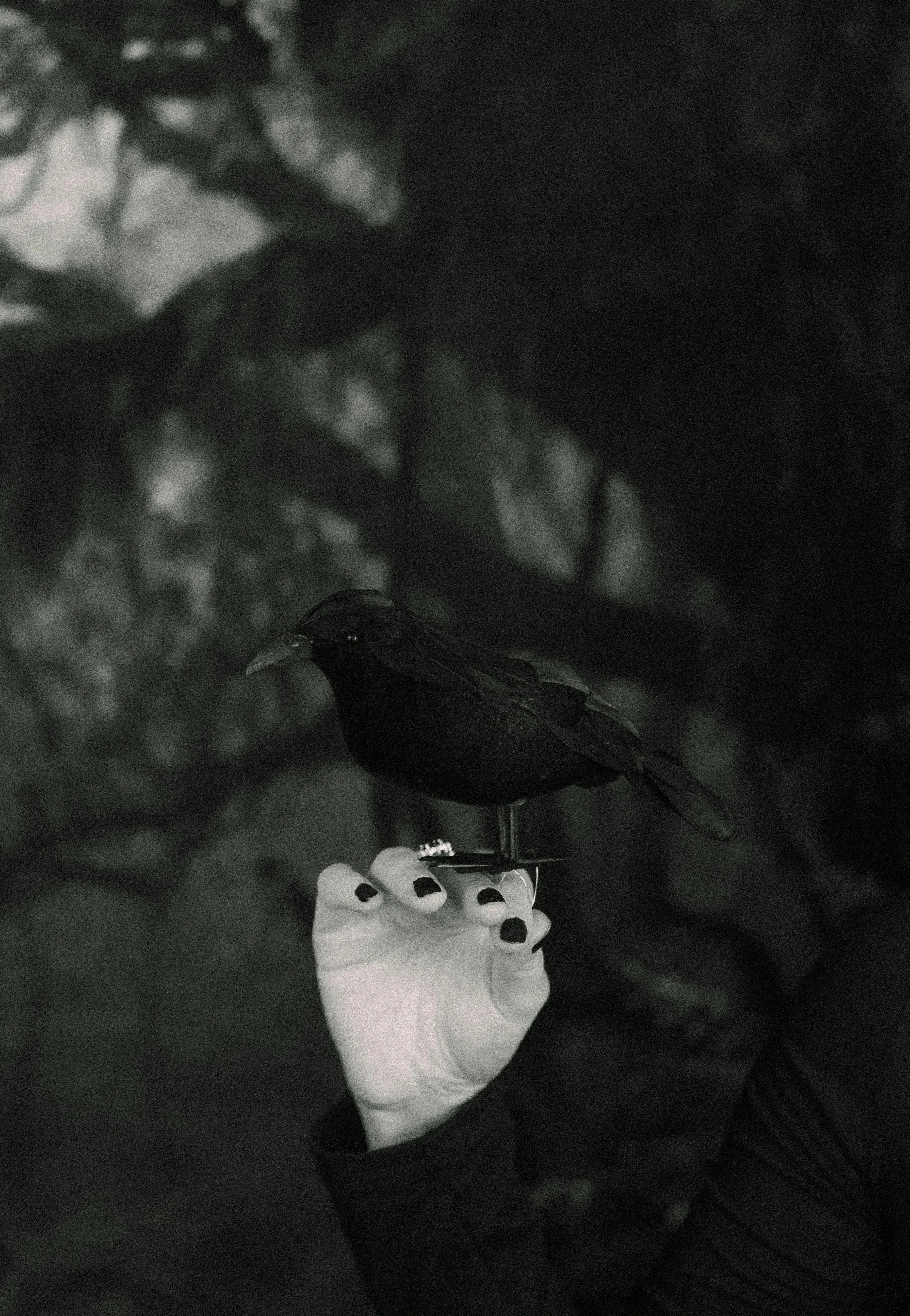 Trendy Nail Designs: Discover the Latest in Nail Art and Care