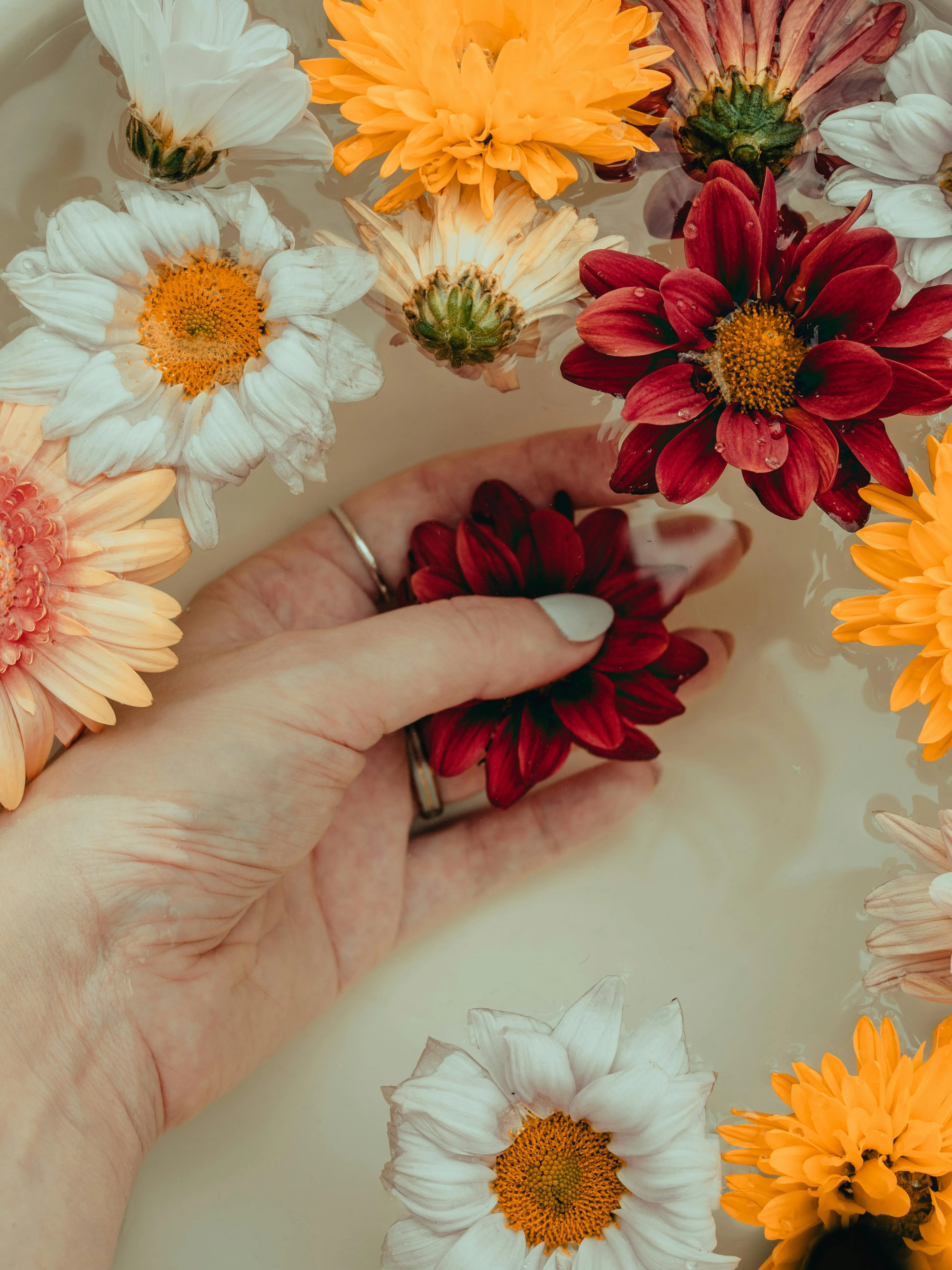 Trendy Nail Designs: Latest Nail Art & Care Tips