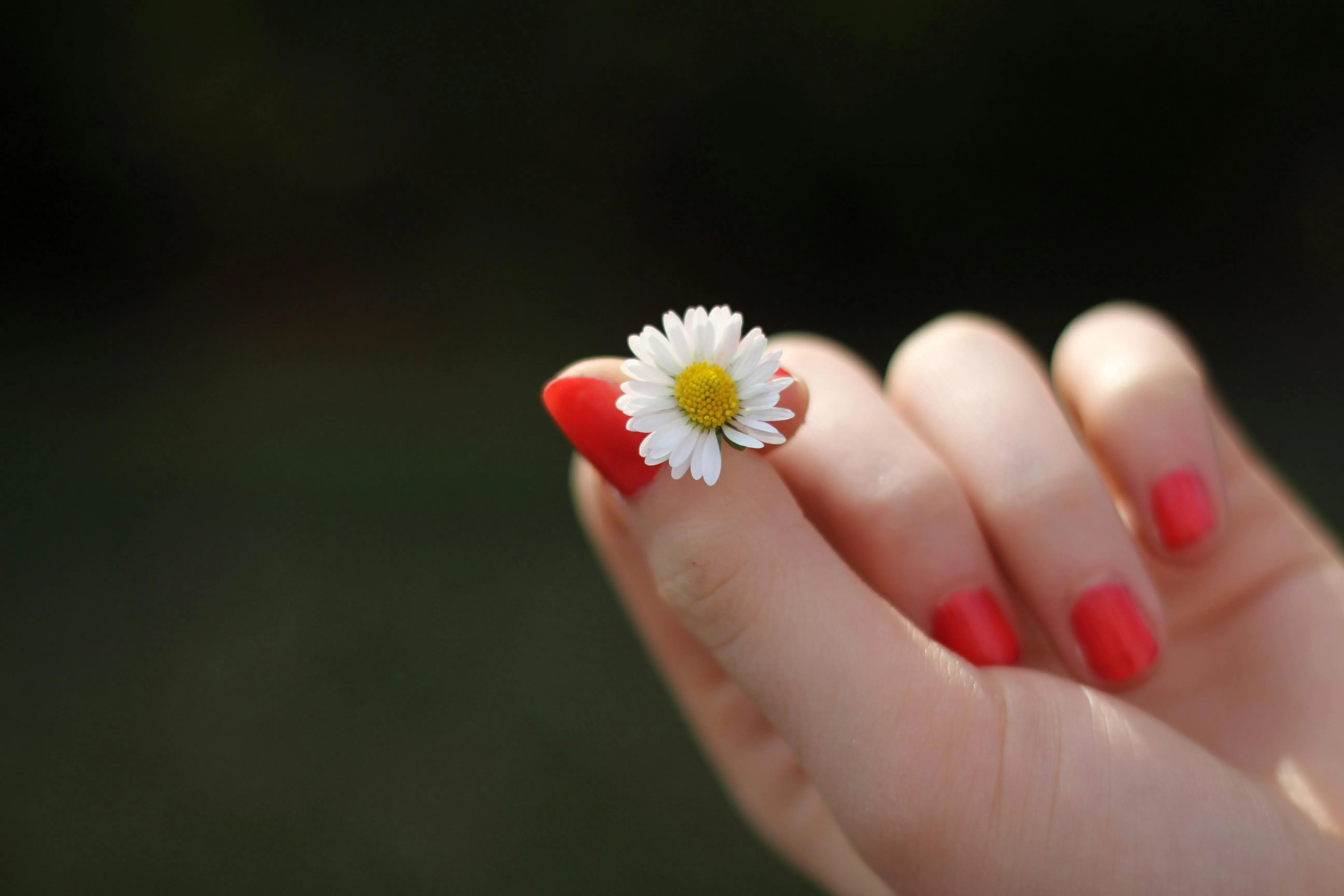 Trendy Nail Art: Daisy Flower Manicure Ideas & Nail Care Tips
