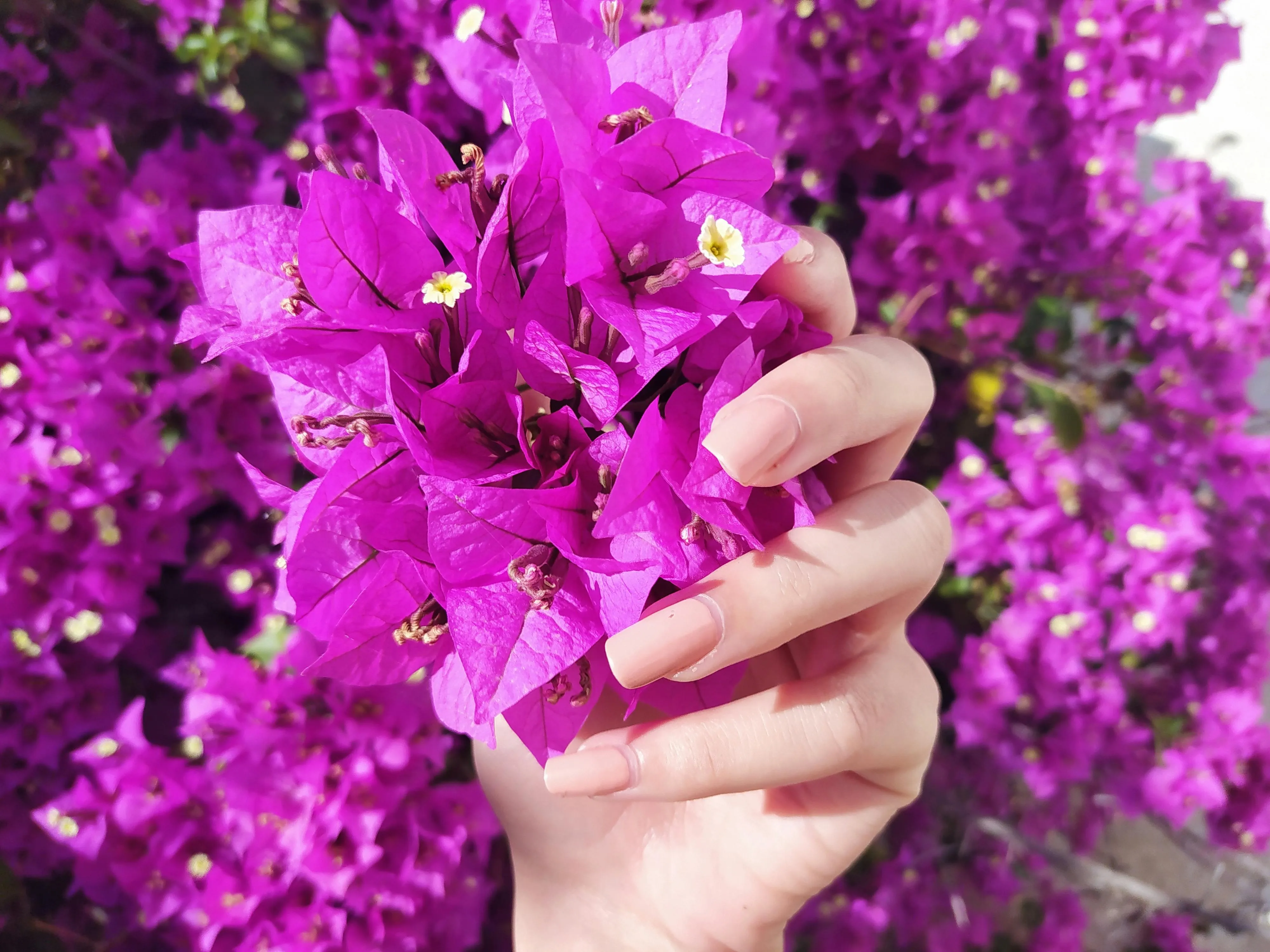Ultimate Guide to Trendy Nail Care & Nail Art Designs | Must-See Trends