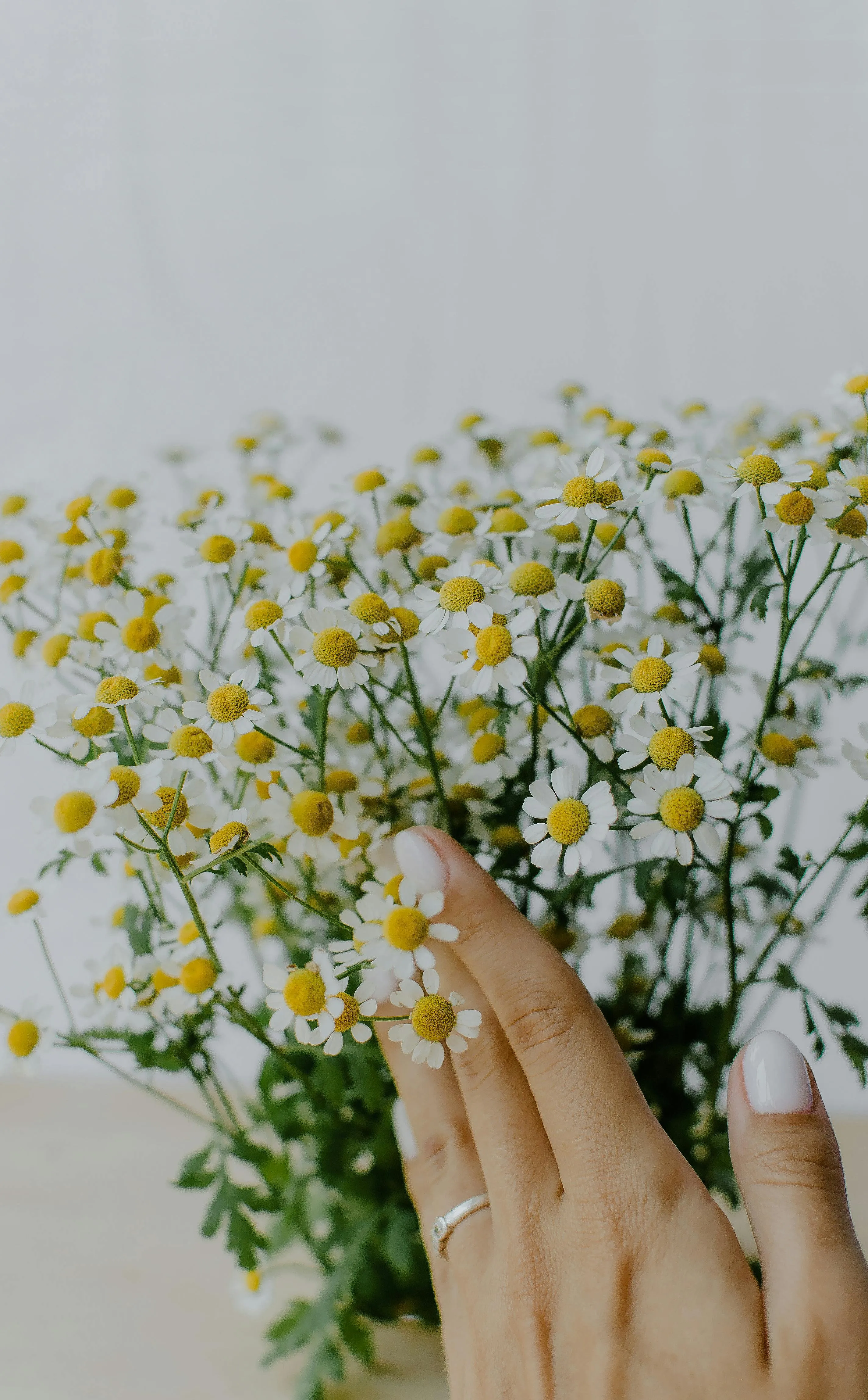 Nail Care, Nail Polish & Trendy Nail Designs | Beauty Inspiration