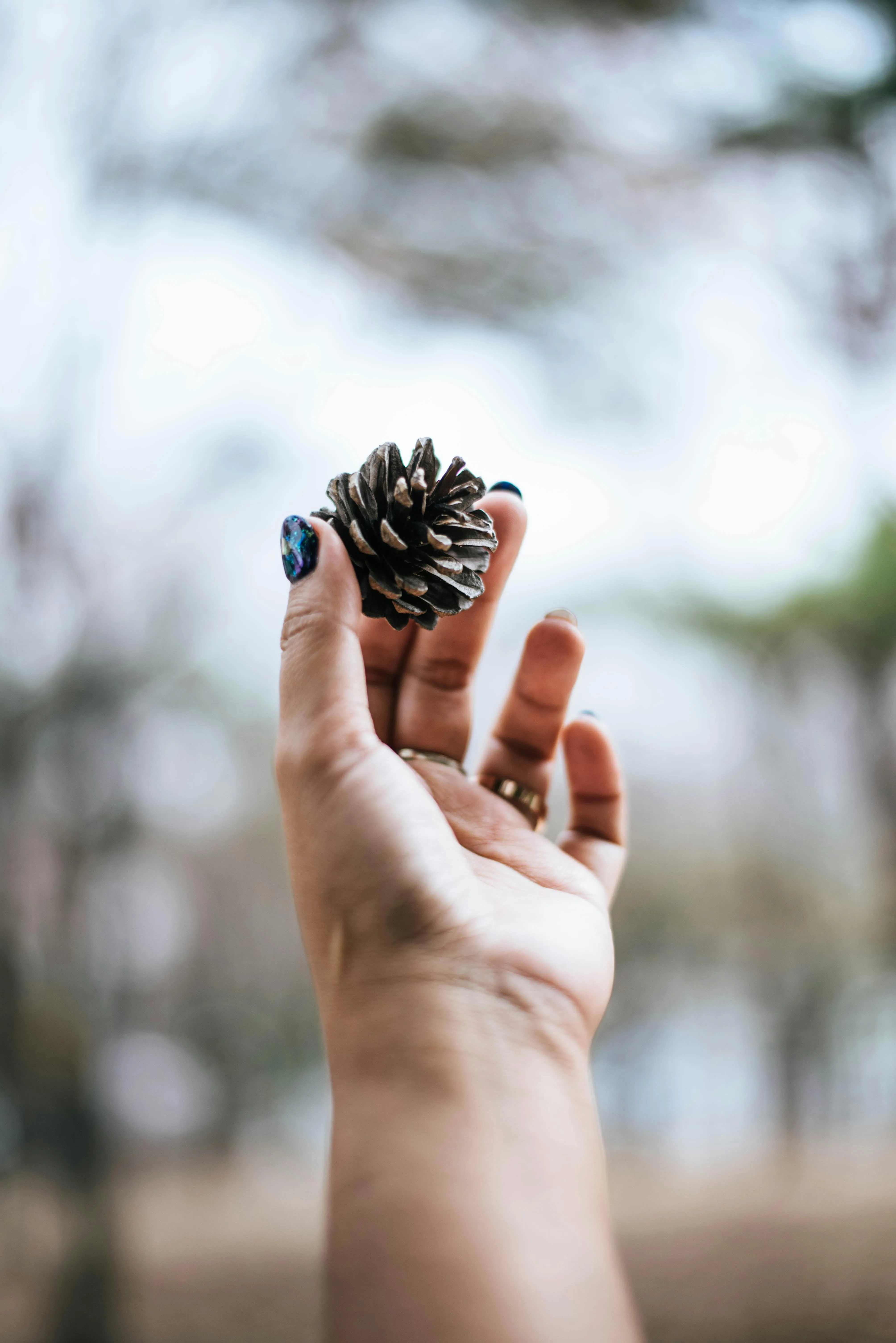 Explore the Trendiest Nail Art and Design Trends