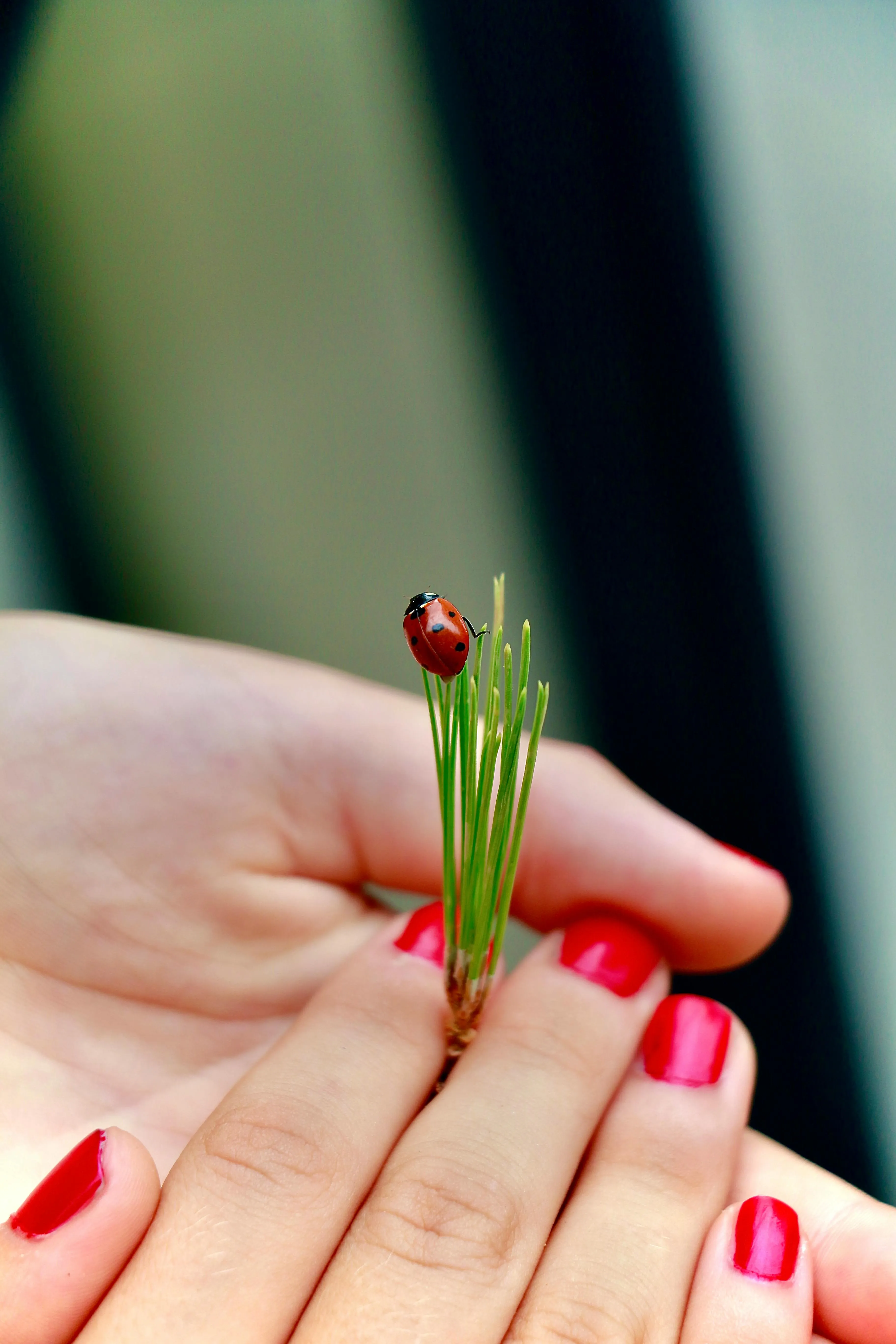 Trendy Nail Art & Nail Care Ideas for a Stylish Look