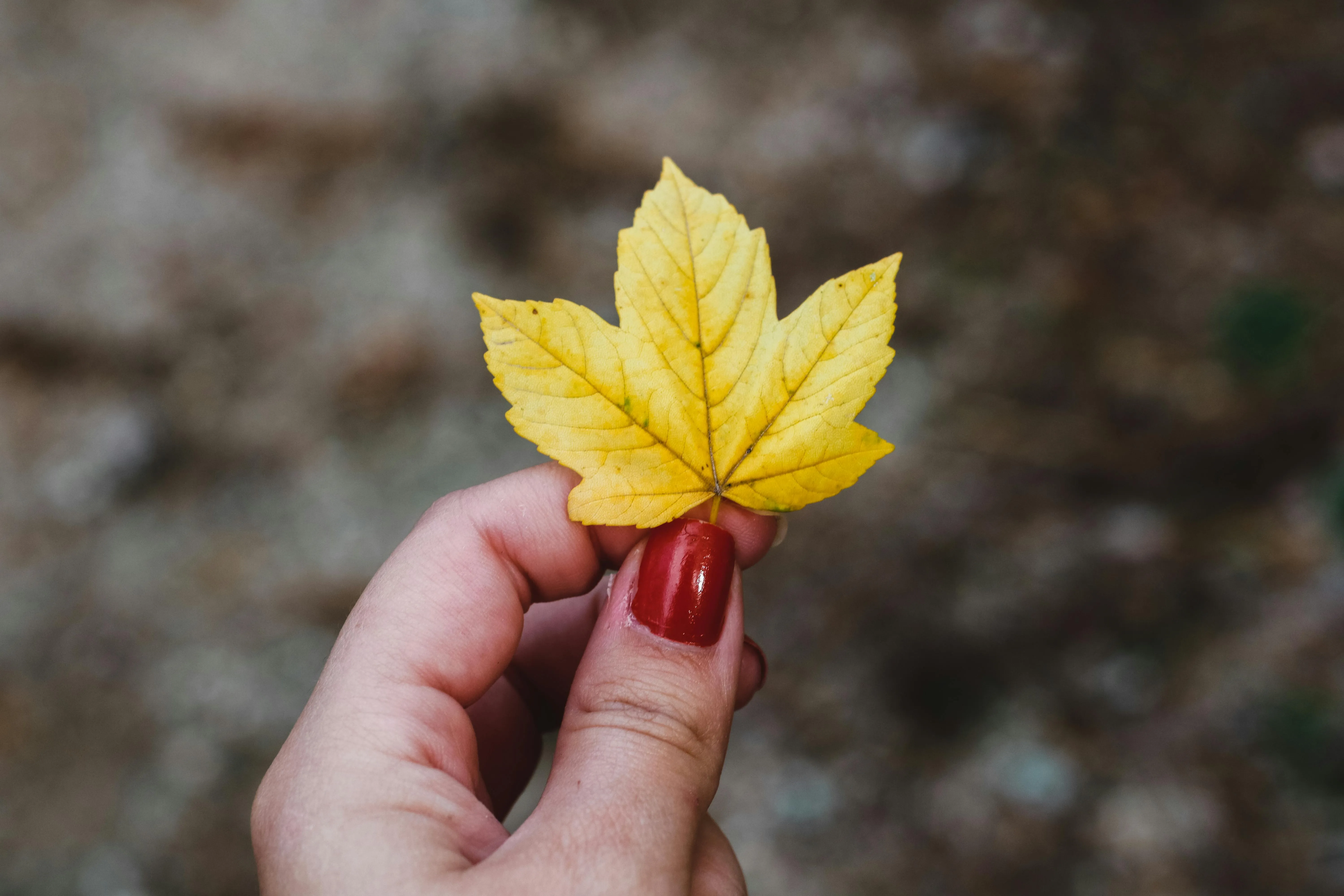 Top Nail Trends: Manicure, Nail Art & Polish Ideas for 2021